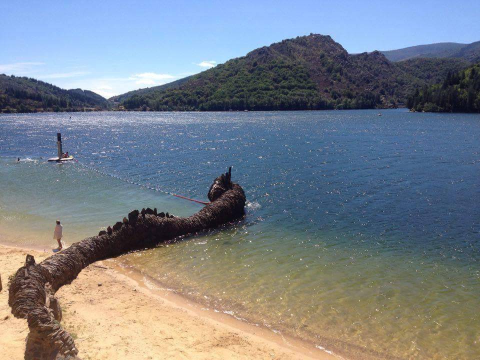 Dragon en lauze sur le lac de villefort